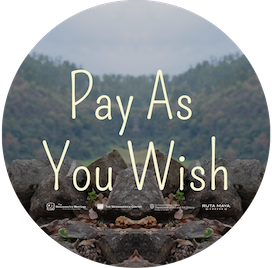 V5 MM21 Pay As You Wish - Circular Image.png
