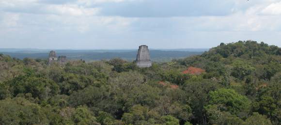 Tikal - 2014 Maya Meetings Tikal - 2014 Maya Meetings